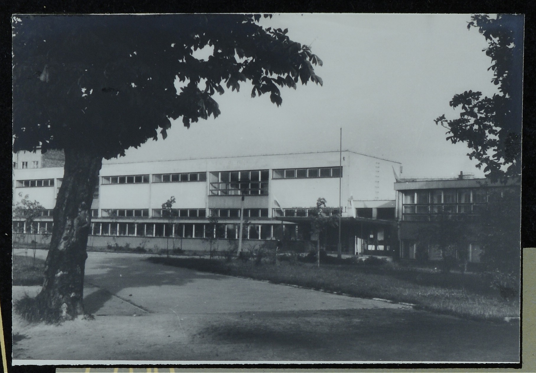 Szkoła Podstawowa Nr 1 przy ul. Księżycowej 6, szkoła wybudowana na 1000-lecie w 1962 roku